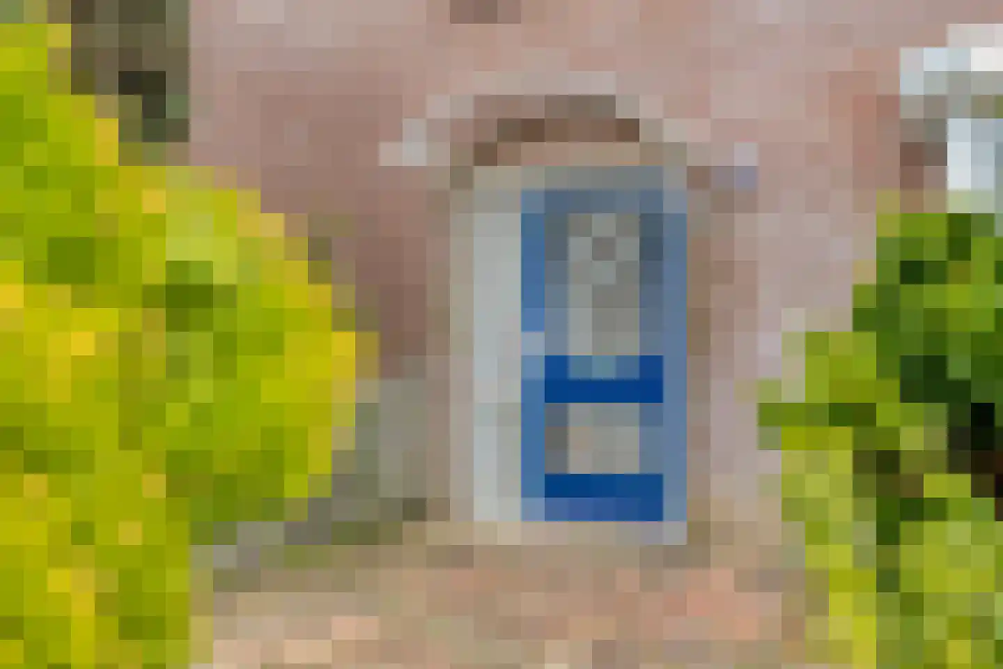 Krekelzanger 98 Boxmeer thumbnail 7