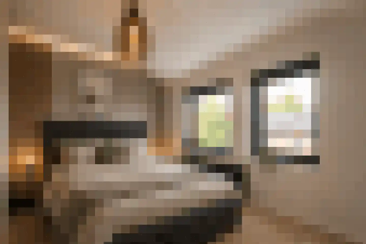Krelis Annesstraat 42 Oudebildtzijl thumbnail 19