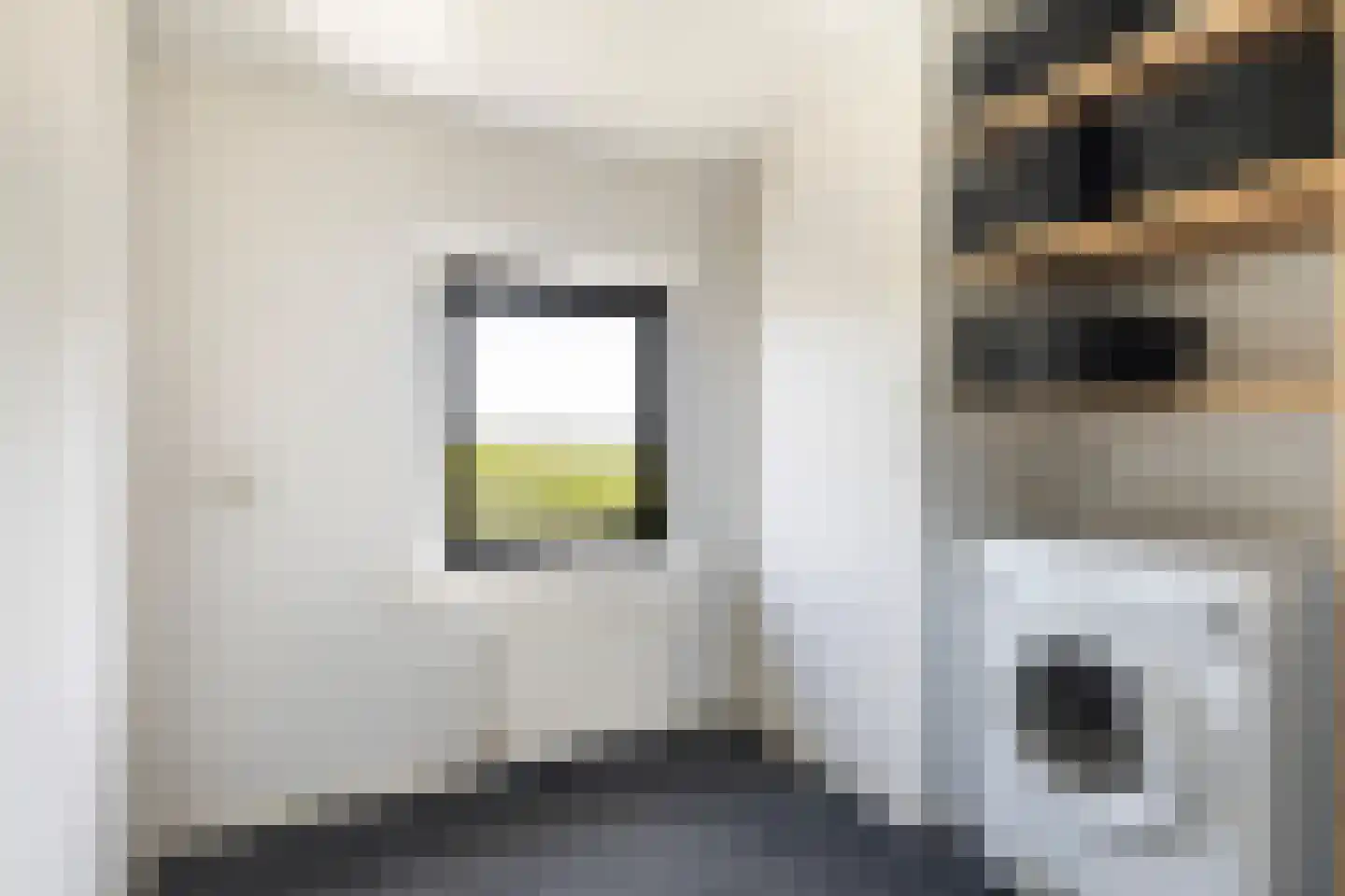Krelis Annesstraat 42 Oudebildtzijl thumbnail 29
