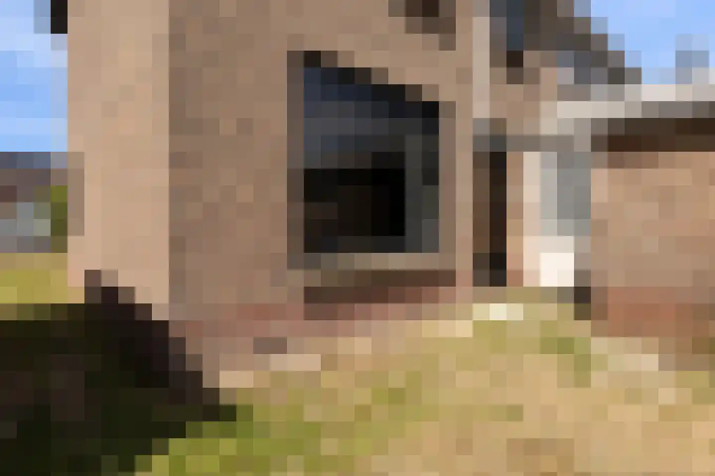Krelis Annesstraat 42 Oudebildtzijl thumbnail 33