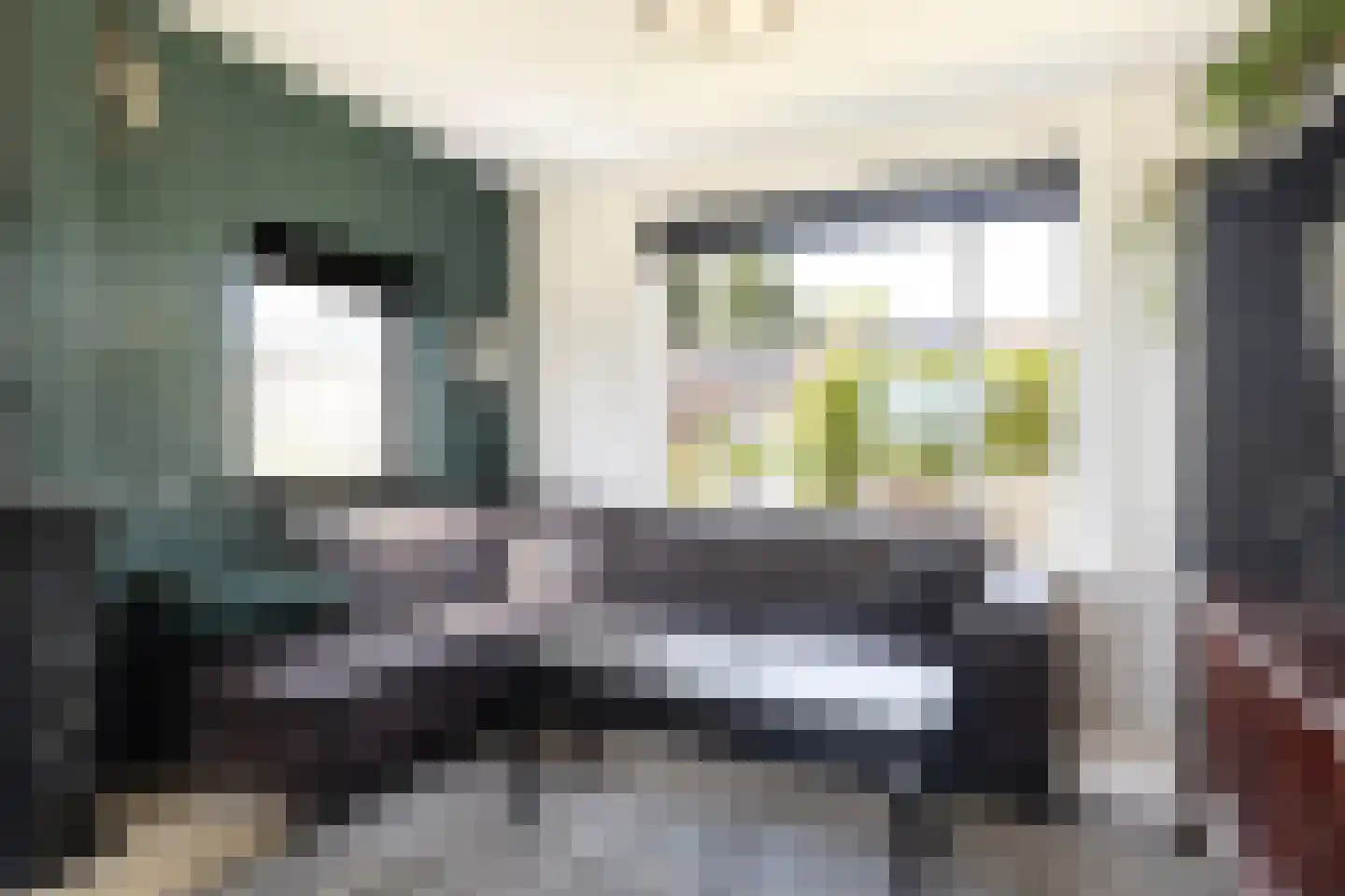 Krelis Annesstraat 42 Oudebildtzijl thumbnail 4