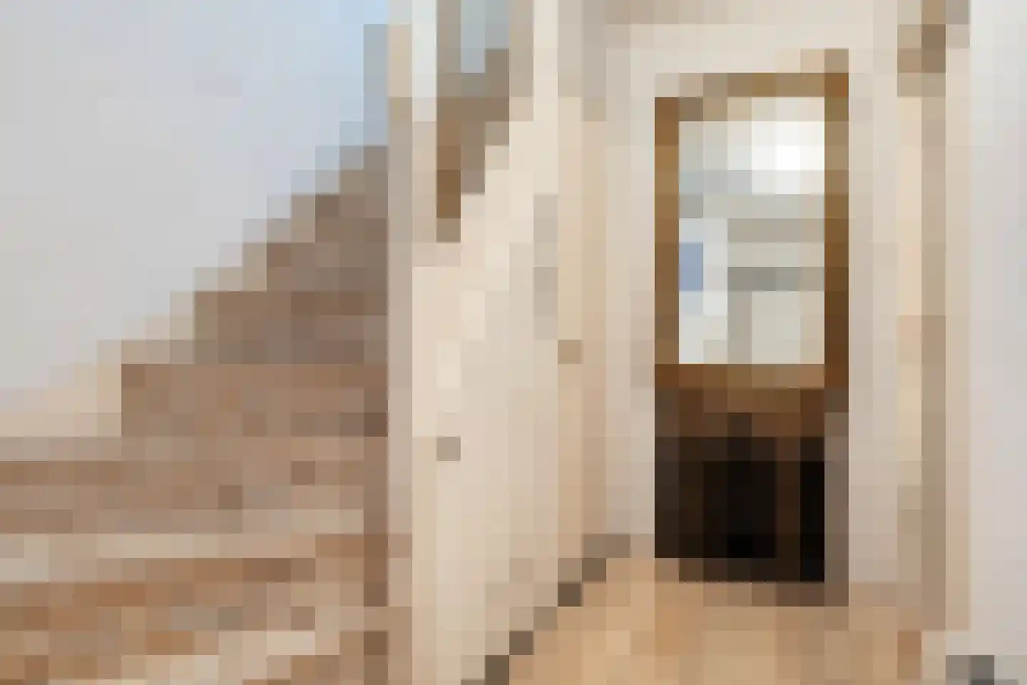 Krelis Annesstraat 42 Oudebildtzijl thumbnail 7