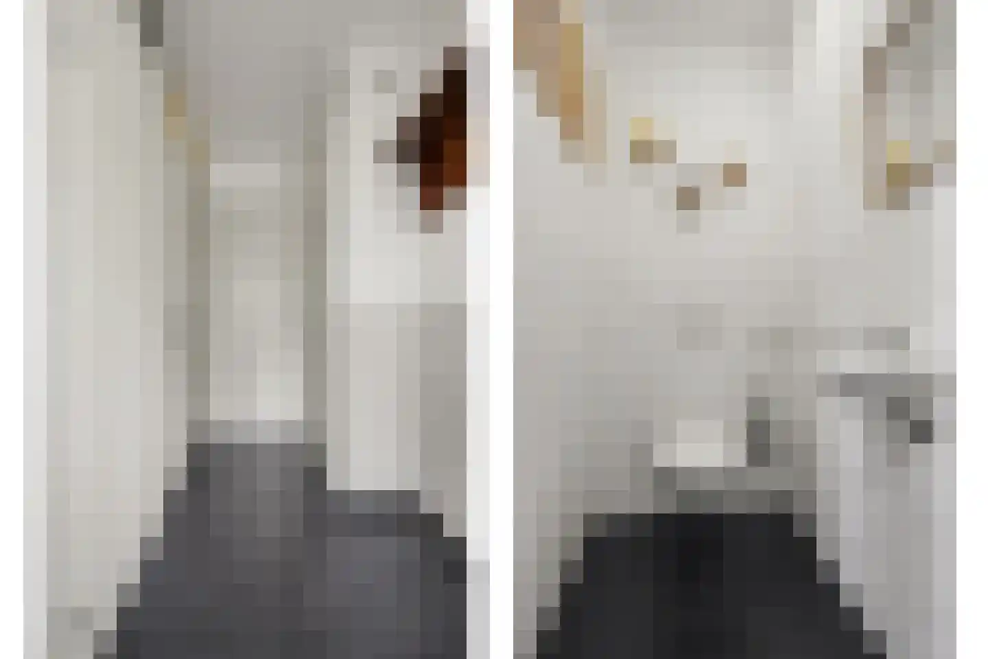 Kremer 24 Reusel thumbnail 4