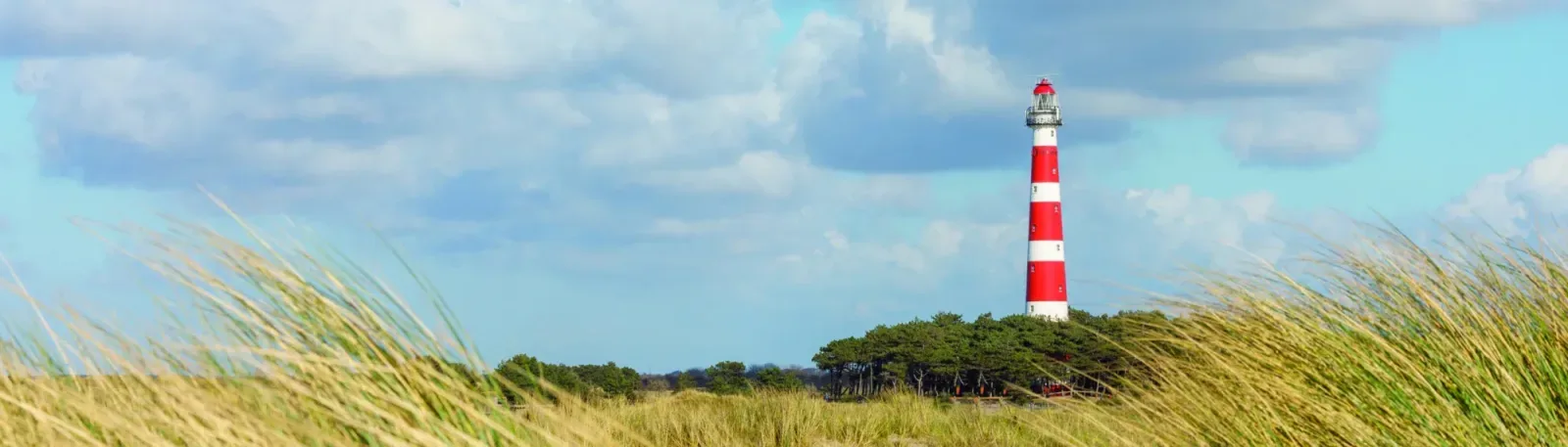 Mannschaftsfoto von Kremermakelaars.nl