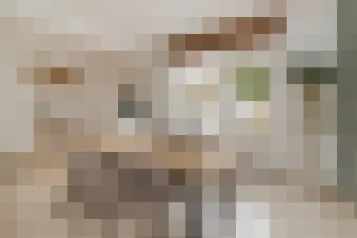 Kremersdreef 100 Maastricht thumbnail 11