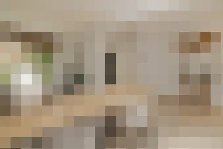 Kremersdreef 100 Maastricht thumbnail 12