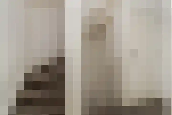 Kremersdreef 100 Maastricht thumbnail 16