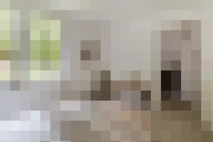 Kremersdreef 100 Maastricht thumbnail 21