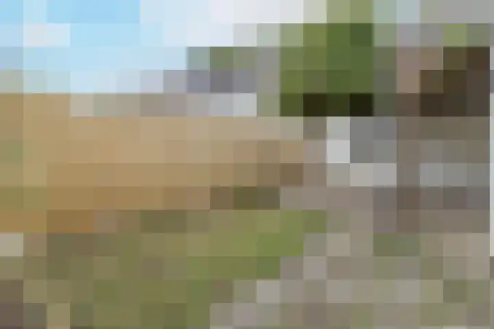 Kremersdreef 100 Maastricht thumbnail 29