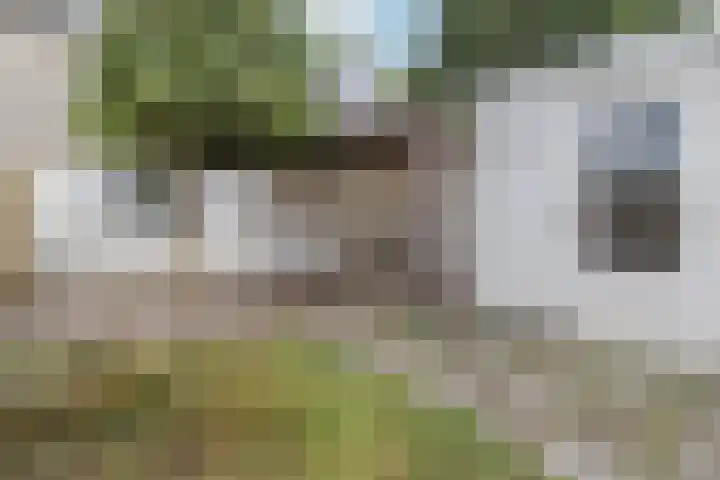 Kremersdreef 100 Maastricht thumbnail 30
