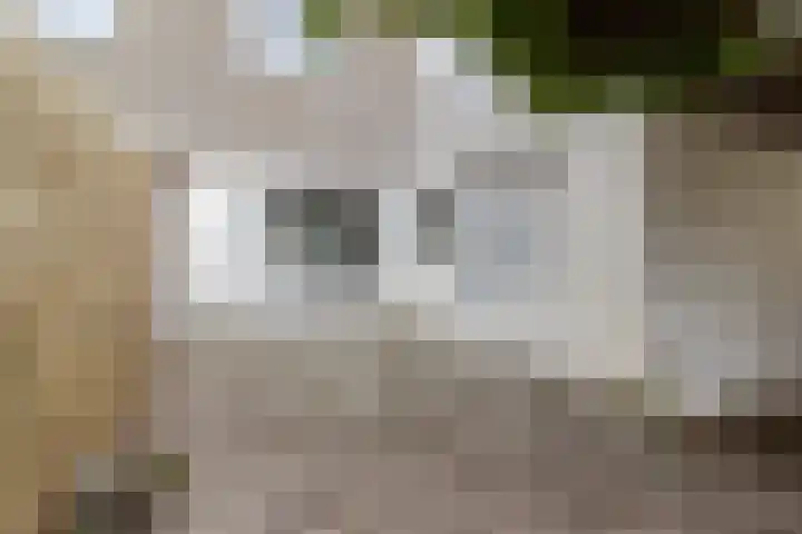 Kremersdreef 100 Maastricht thumbnail 31