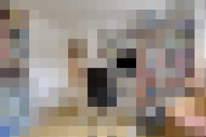 Kremersdreef 32 Maastricht thumbnail 16