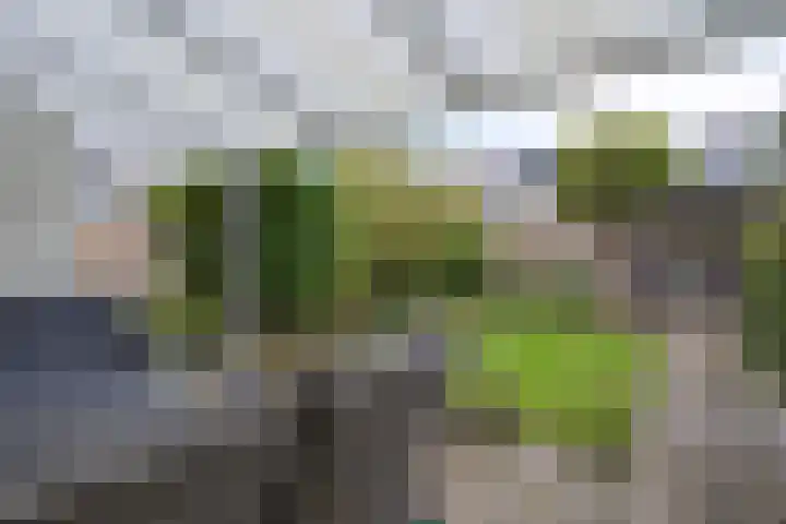 Kremersdreef 32 Maastricht thumbnail 21
