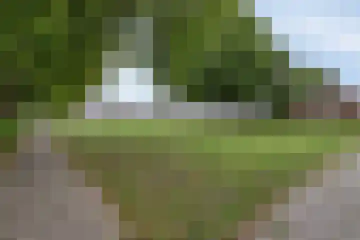 Kremersdreef 32 Maastricht thumbnail 31