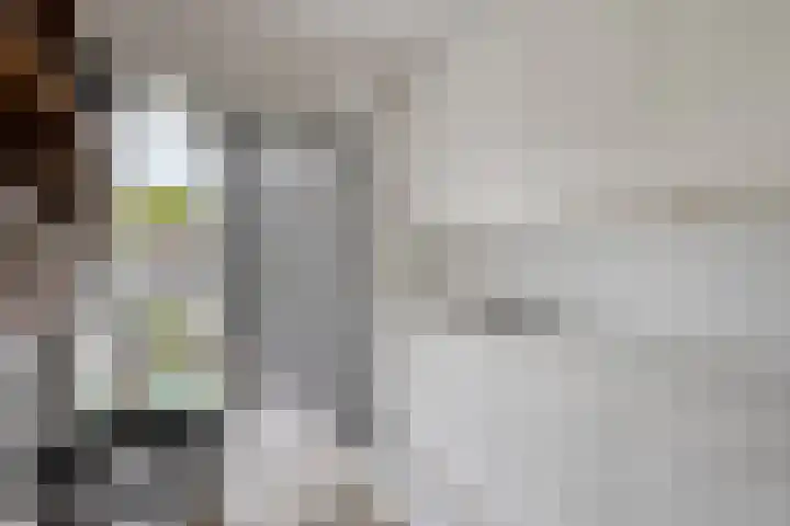 Kremersdreef 32 Maastricht thumbnail 8