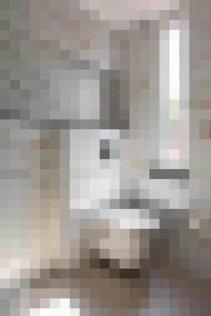 Kremersheerd 106 Groningen thumbnail 26