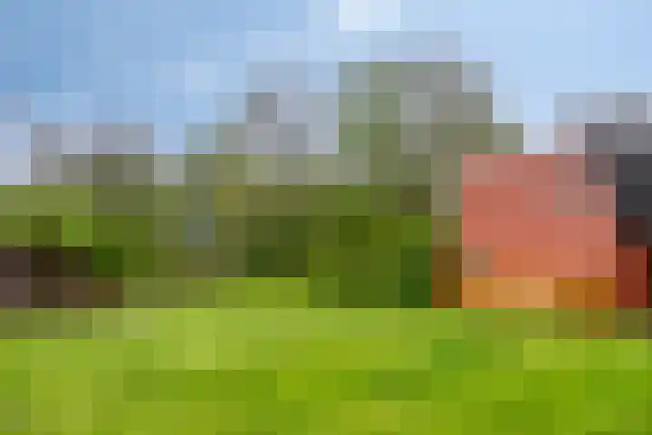 Kremersheerd 124 Groningen thumbnail 17