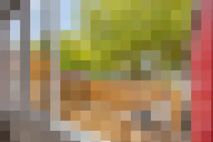 Kremersheerd 128 Groningen thumbnail 12