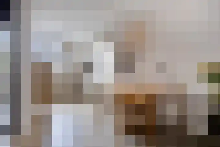 Kremersheerd 128 Groningen thumbnail 13