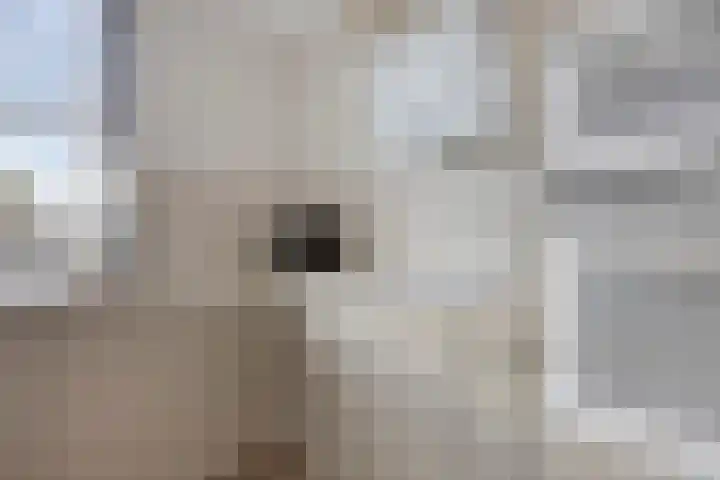 Kremersheerd 128 Groningen thumbnail 14