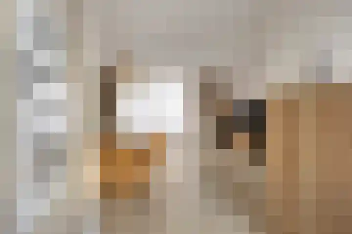 Kremersheerd 128 Groningen thumbnail 15