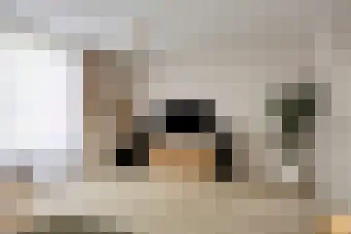 Kremersheerd 128 Groningen thumbnail 16