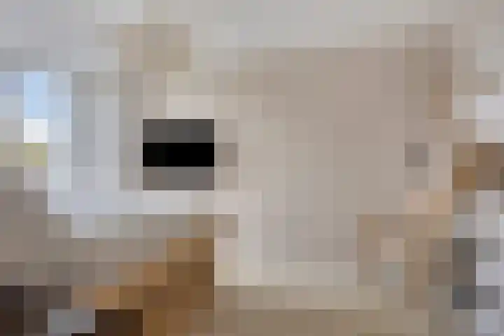 Kremersheerd 128 Groningen thumbnail 22