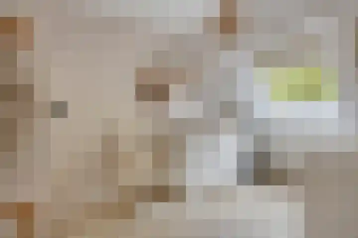 Kremersheerd 128 Groningen thumbnail 23
