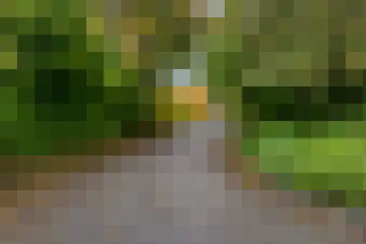 Kremersheerd 128 Groningen thumbnail 30