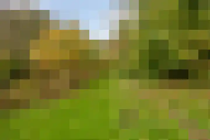 Kremersheerd 128 Groningen thumbnail 31