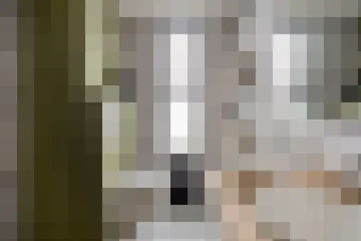 Kremersheerd 128 Groningen thumbnail 4