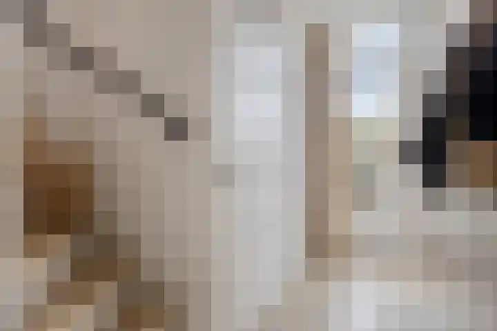 Kremersheerd 128 Groningen thumbnail 7