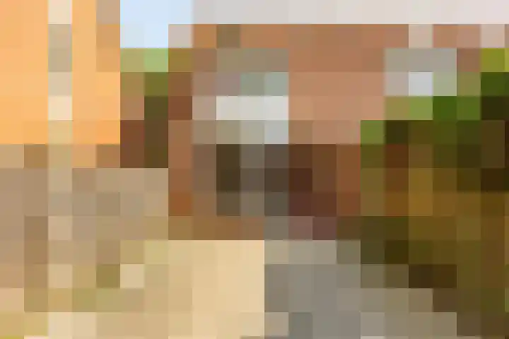 Kremersheerd 14 Groningen thumbnail 21