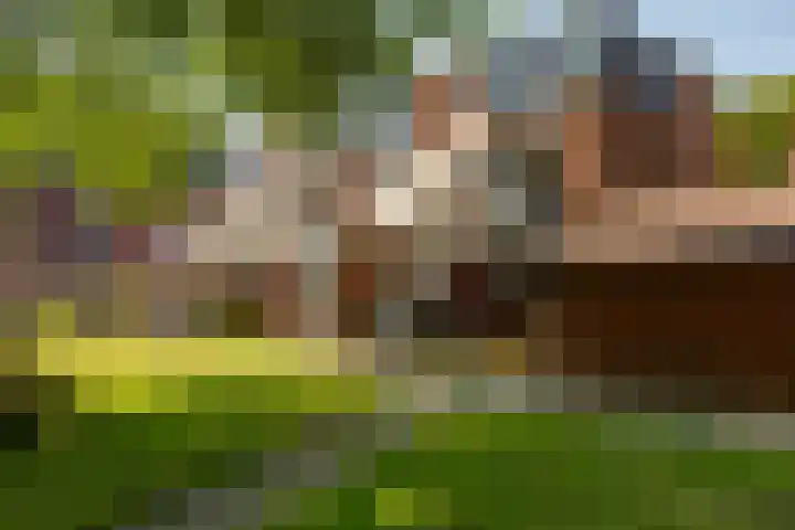Kremersheerd 14 Groningen thumbnail 24