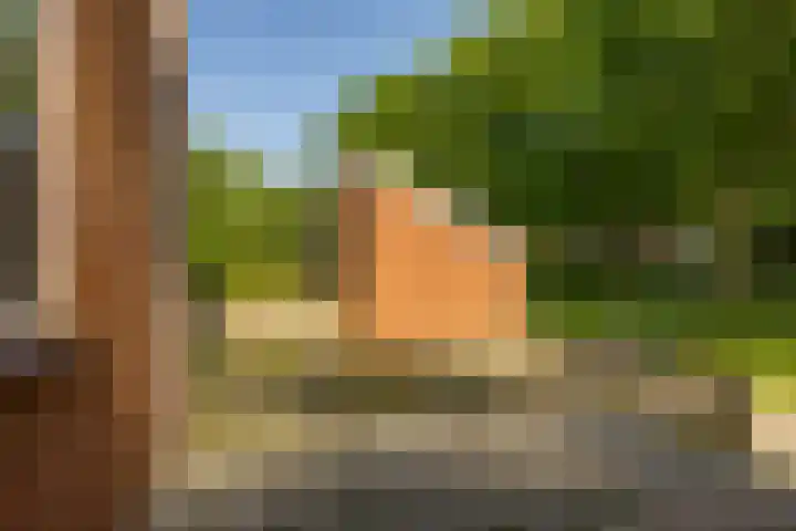 Kremersheerd 14 Groningen thumbnail 25