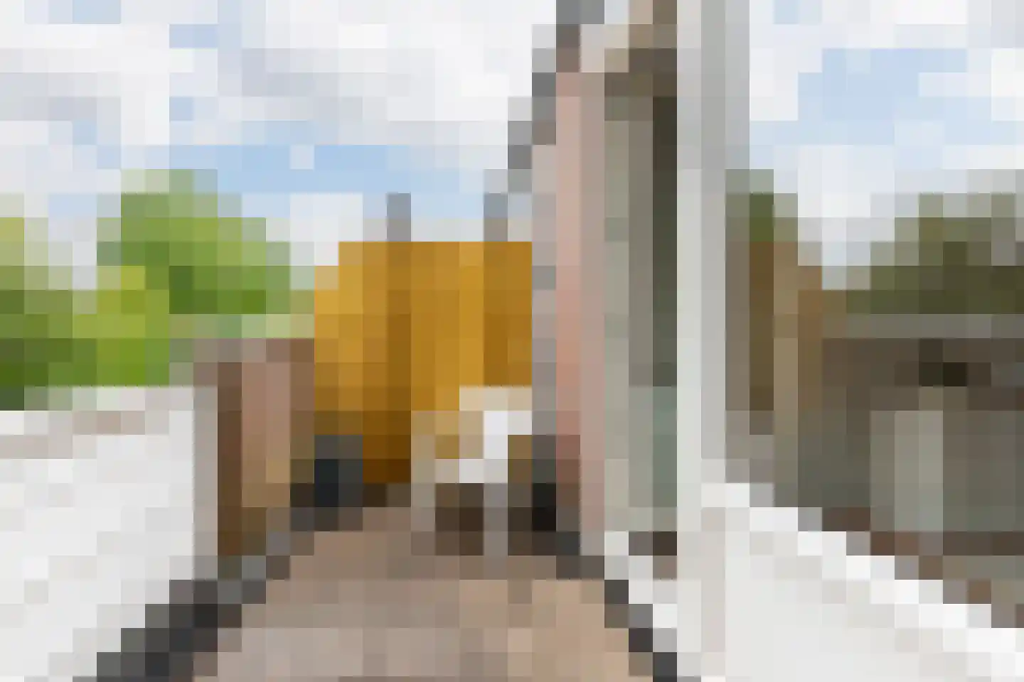 Kremersheerd 140 Groningen thumbnail 22