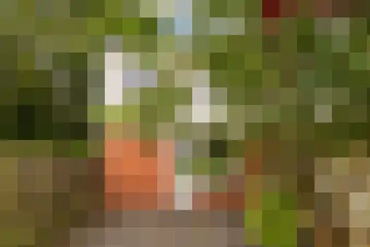 Kremersheerd 178 Groningen thumbnail 11