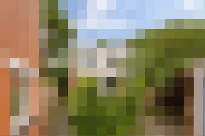 Kremersheerd 178 Groningen thumbnail 8