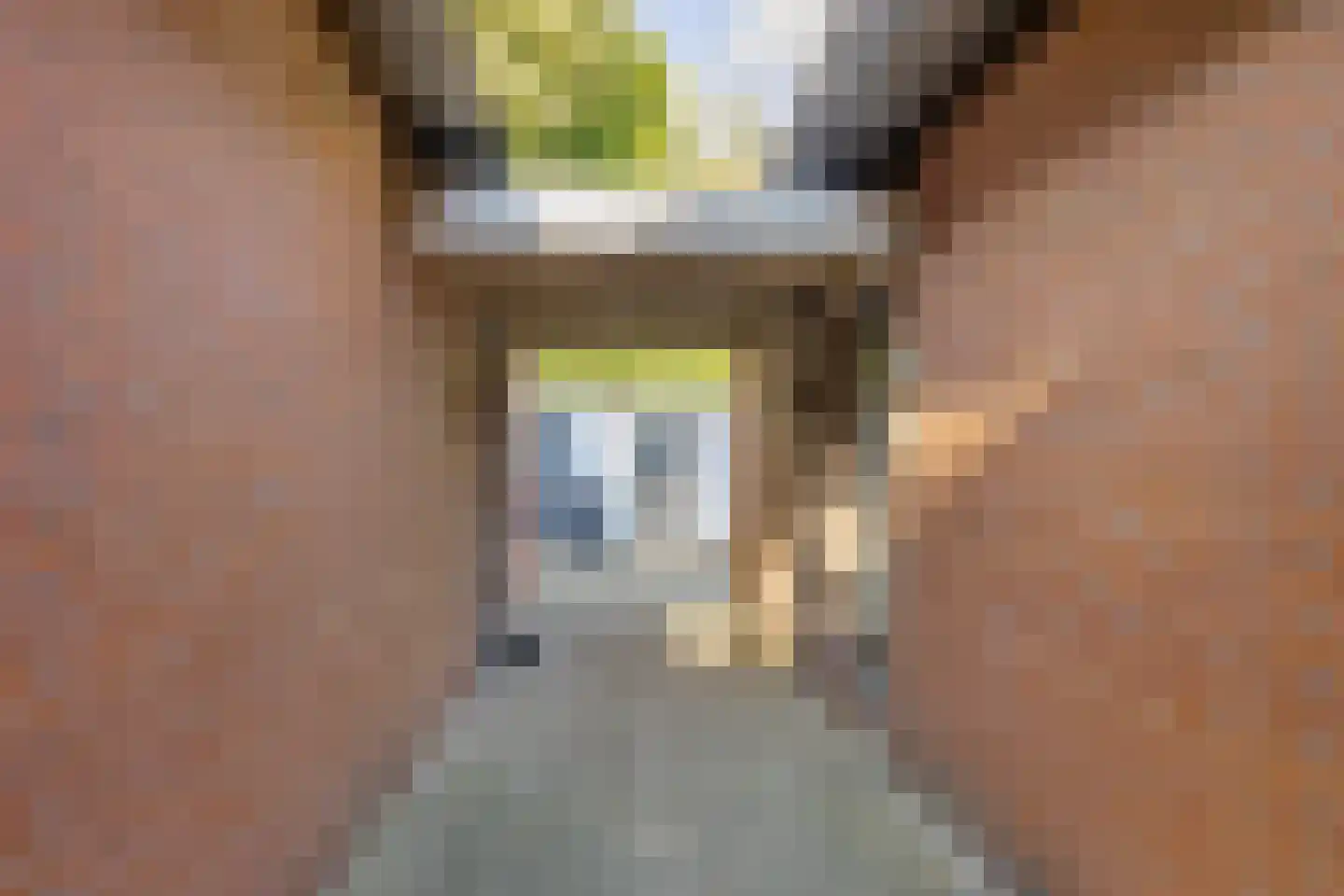 Kremersheerd 182 Groningen thumbnail 5