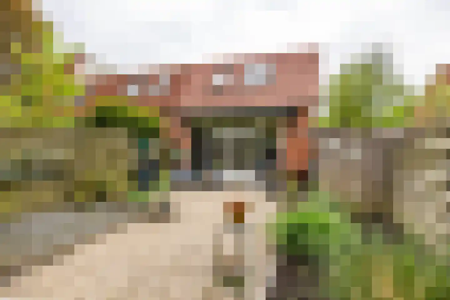 Kremersheerd 190 Groningen thumbnail 21