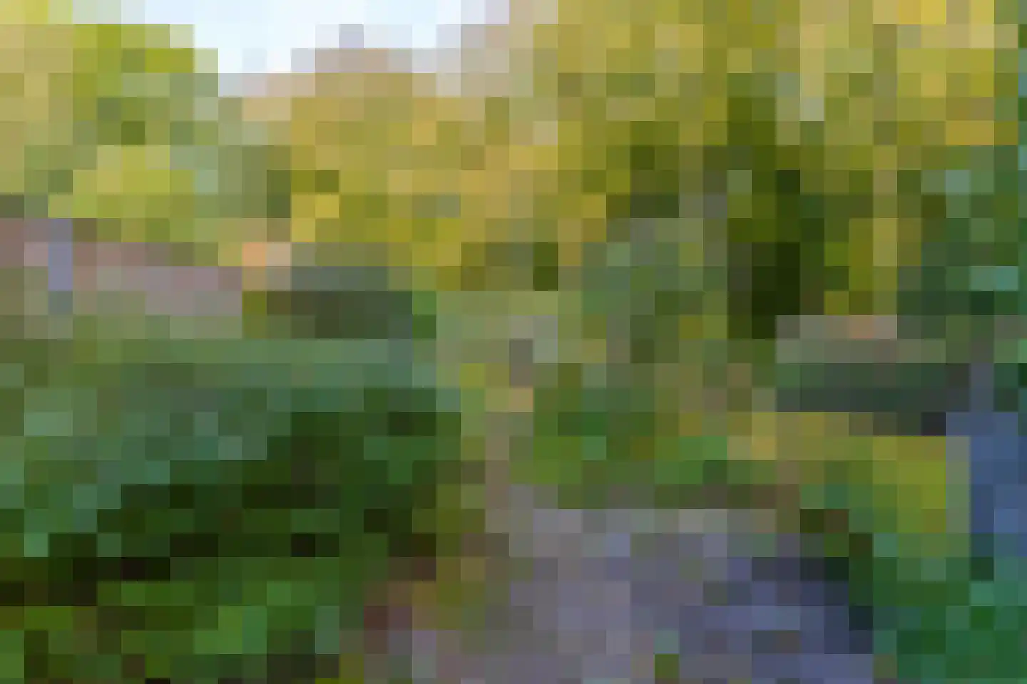 Kremersheerd 228 Groningen thumbnail 13