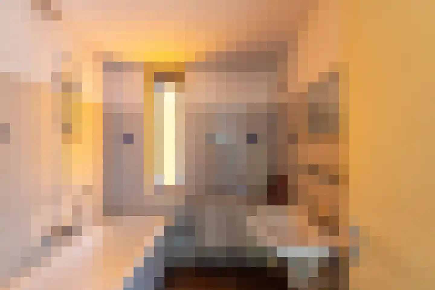 Kremersheerd 228 Groningen thumbnail 16