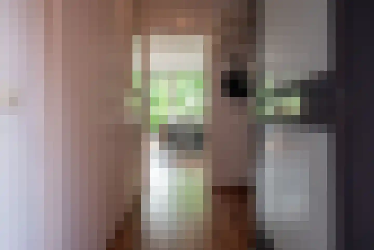 Kremersheerd 3 Groningen thumbnail 10