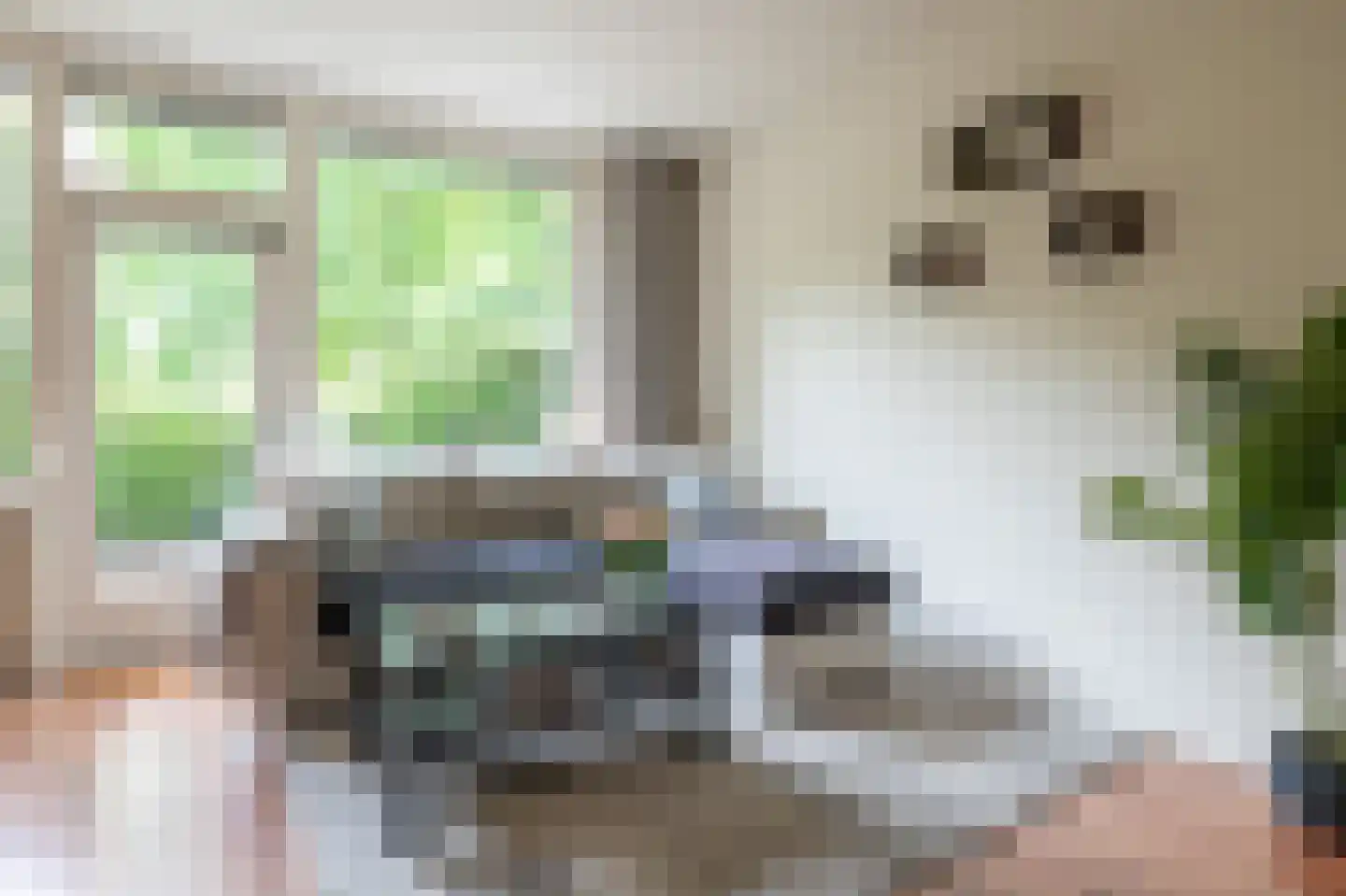 Kremersheerd 3 Groningen thumbnail 11