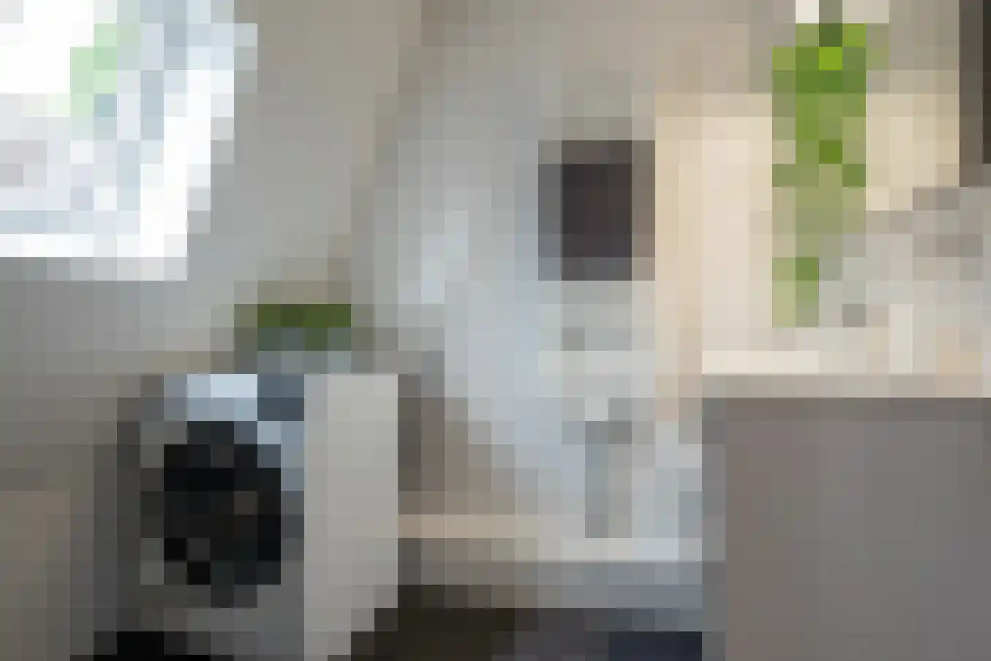 Kremersheerd 3 Groningen thumbnail 23