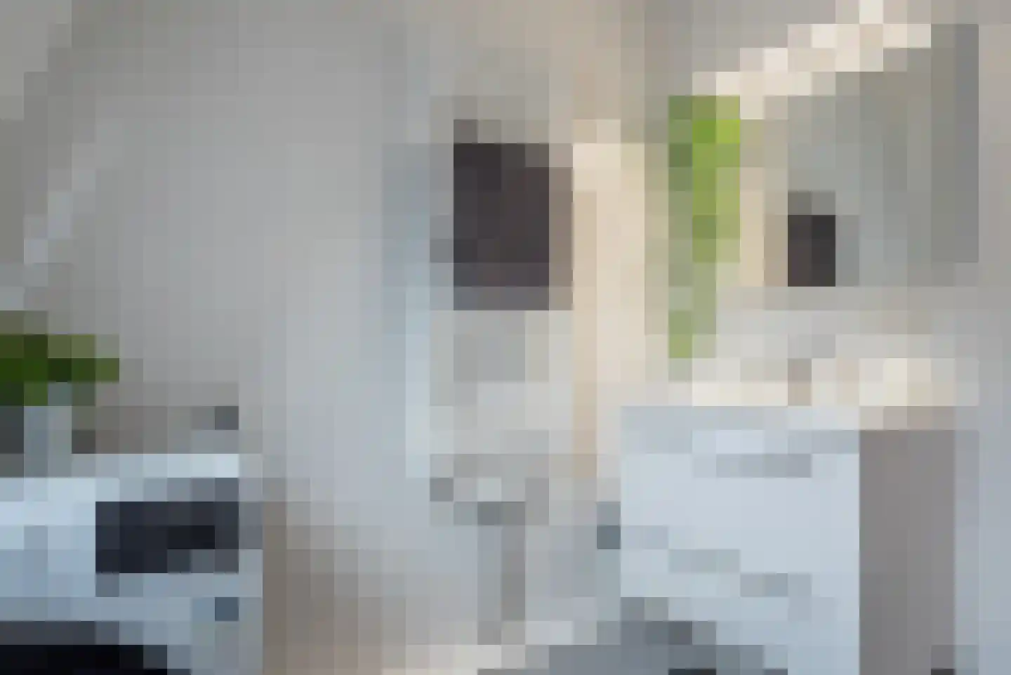 Kremersheerd 3 Groningen thumbnail 24