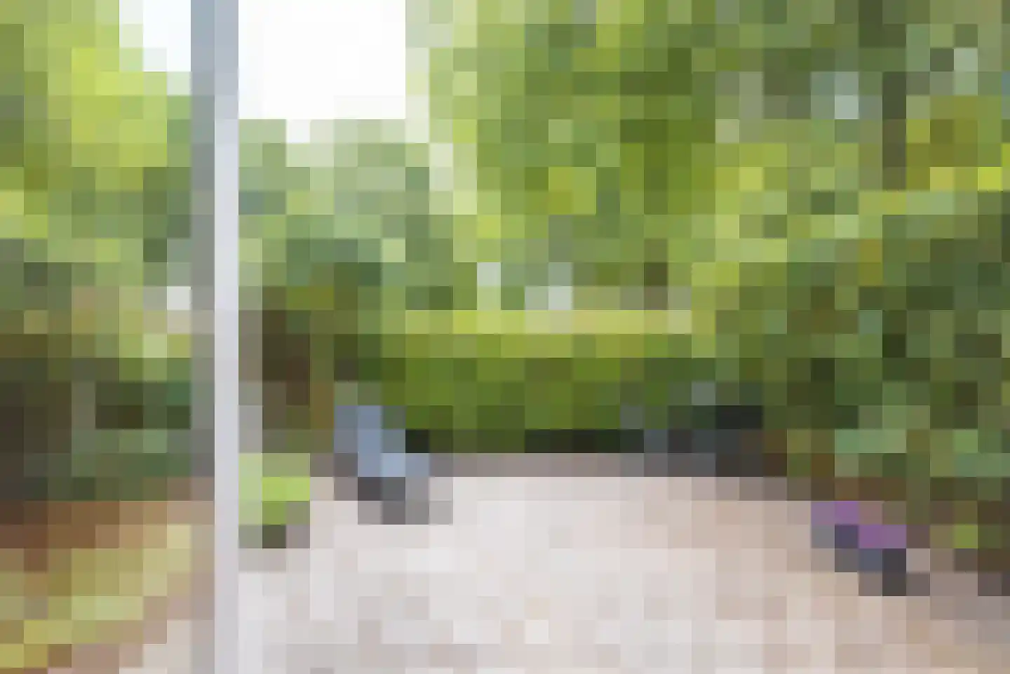 Kremersheerd 3 Groningen thumbnail 26