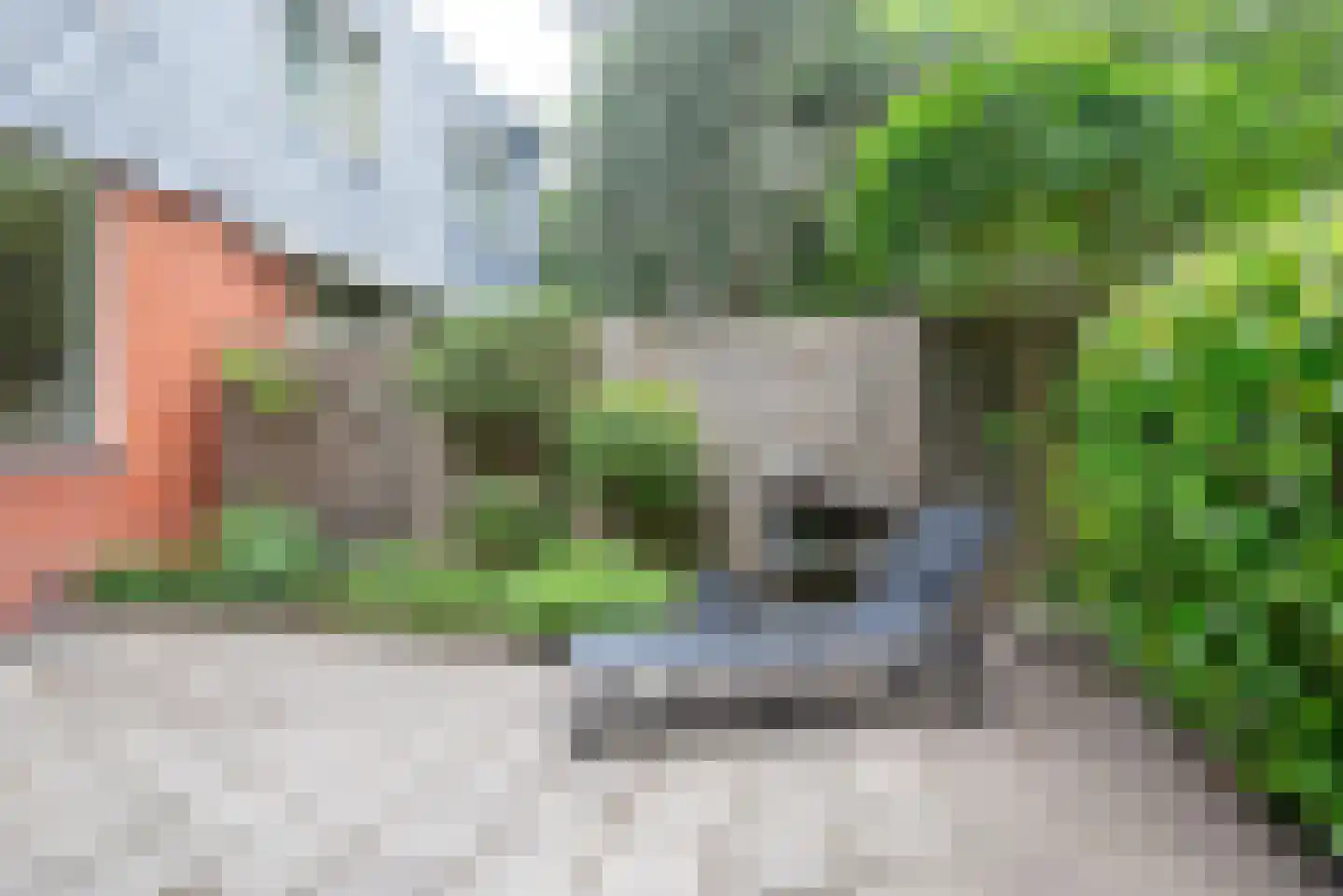 Kremersheerd 3 Groningen thumbnail 28