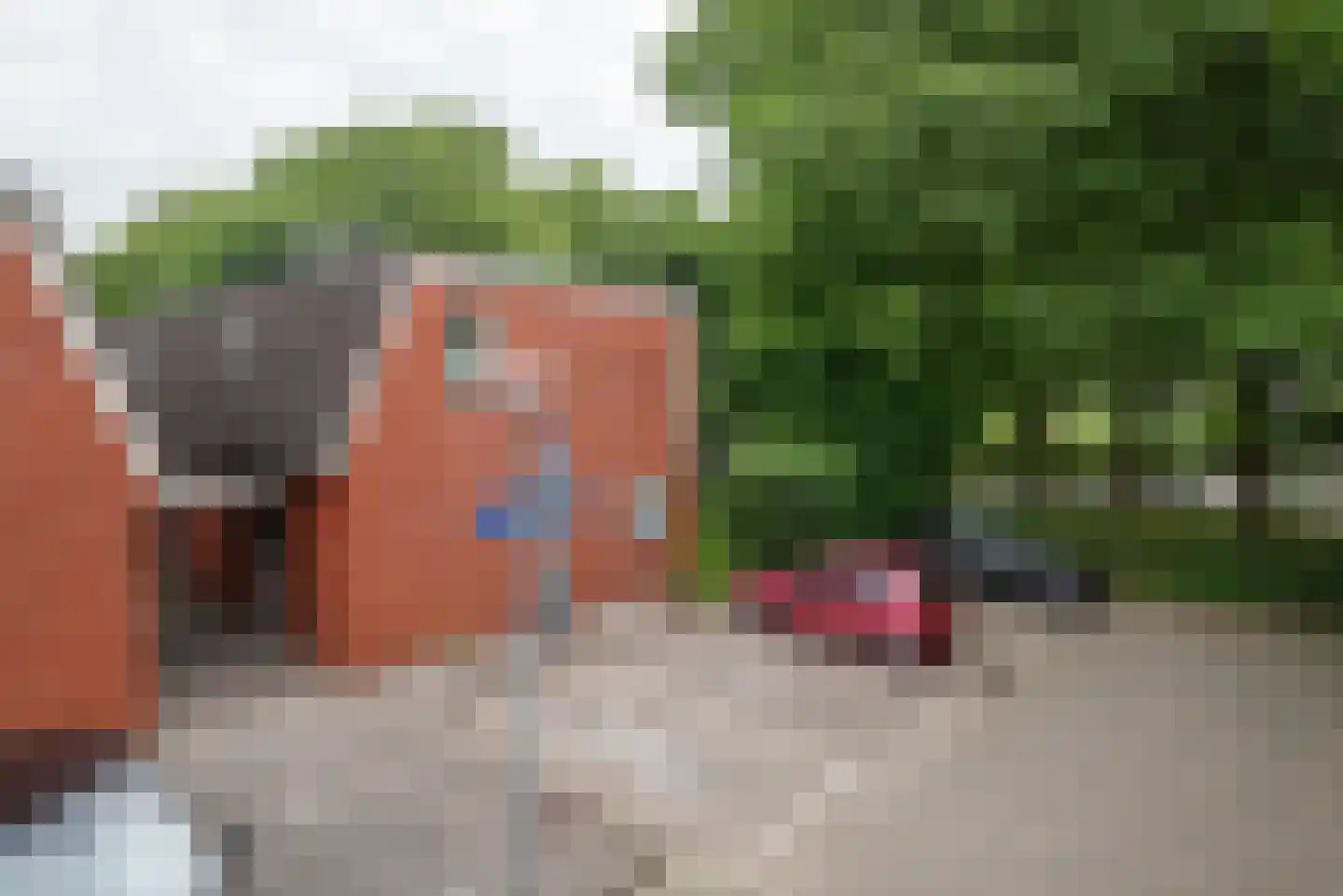 Kremersheerd 3 Groningen thumbnail 8
