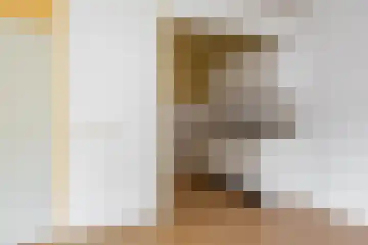 Kremersheerd 49 Groningen thumbnail 14